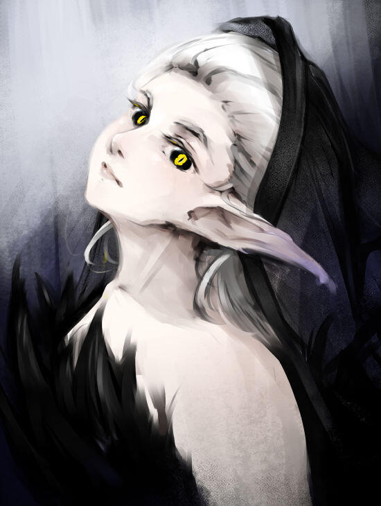 Digital art of Ader.